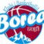 KB BOREA logo