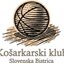 KS SANI BISTRICA logo