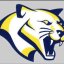 LAWSON STATE CC logo