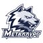METALLURG MAGNITOGORSK logo
