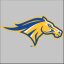 MONROE COLLEGE logo