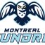 MONTREAL TUNDRA logo
