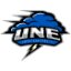 NEW ENGLAND logo