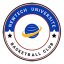 NEW TECH BANTDU logo