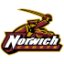 NORWICH logo
