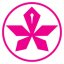 PAINEIRAS DO MORUMBY logo