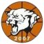 PANTER NIKSIC logo
