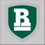 RICHARD BLAND COLLEGE logo