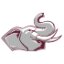 ROSE HULMAN logo