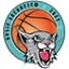RYSIE SOCHACZEW logo