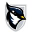SAINT JOSEPH'S CT logo