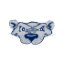 SAINT JOSEPH'S NY logo