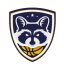 SAO JOSE DOS PINHAIS logo