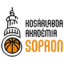 SMAFC 1960 B logo