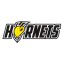 SORRISO HORNETS logo