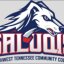 SOUTHWEST TENNESSEE CC logo