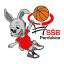 SSB PARDUBICE logo
