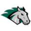 STEVENSON logo