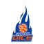TACHIKAWA DICE logo