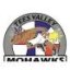 TEES VALLEY MOHAWKS logo