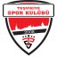 TESVIKIYE SPOR KULUBU logo