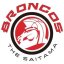 THE SAITAMA BRONCOS logo