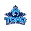TOAC BASKET logo