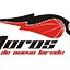 TOROS LAGUNA logo