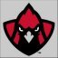 TRINITY VALLEY CC logo