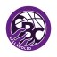 UEMC REAL VALLADOLID BALONCESTO logo