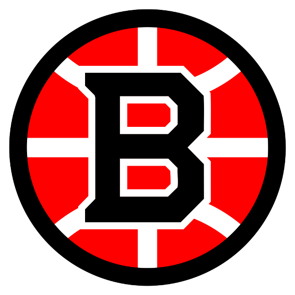VOSTOK logo