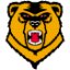 WESTERN NEW ENGLAND logo