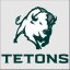 WILLISTON STATE logo