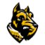 WOOSTER logo