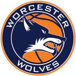 WORCESTER WOLVES Logo