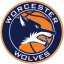 WORCESTER WOLVES logo