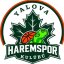 YALOVASPOR BK logo