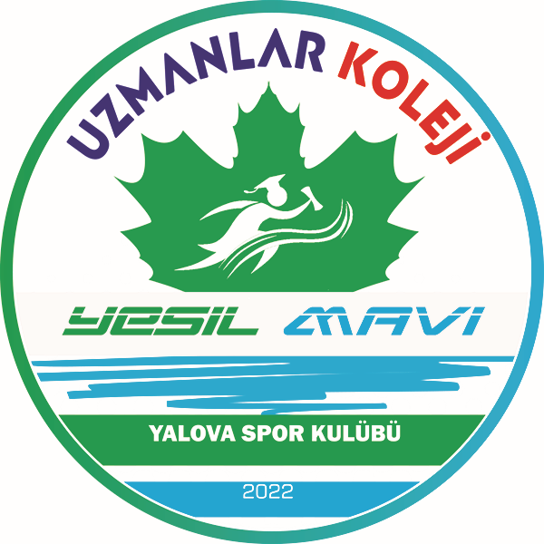 YESIL MAVI YALOVASPOR logo