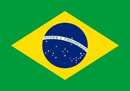 BRAZIL Team Logo