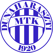 DMTK Team Logo