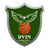 DVIN Team Logo