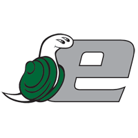 EVERGREEN Team Logo