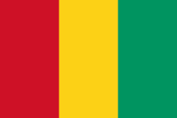GUINEA Team Logo