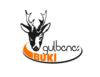 GULBENE Team Logo