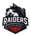 RAIDERS Team Logo