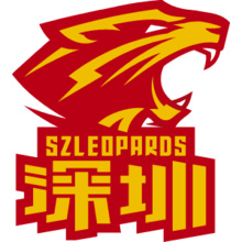 SHENZHEN Team Logo