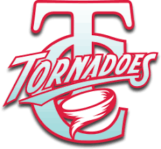 TALLADEGA Team Logo