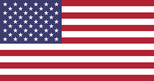 USA Team Logo