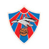 VALUR Team Logo