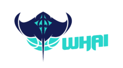 WHAI Team Logo
